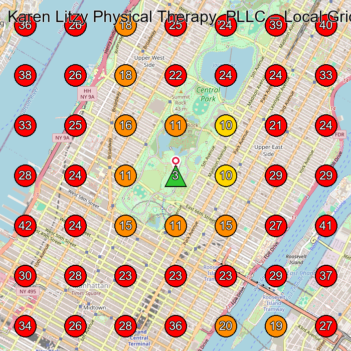 Karen Litzy Physical Therapy, PLLC GeoGrid visibility map for Physical Therapist in New York